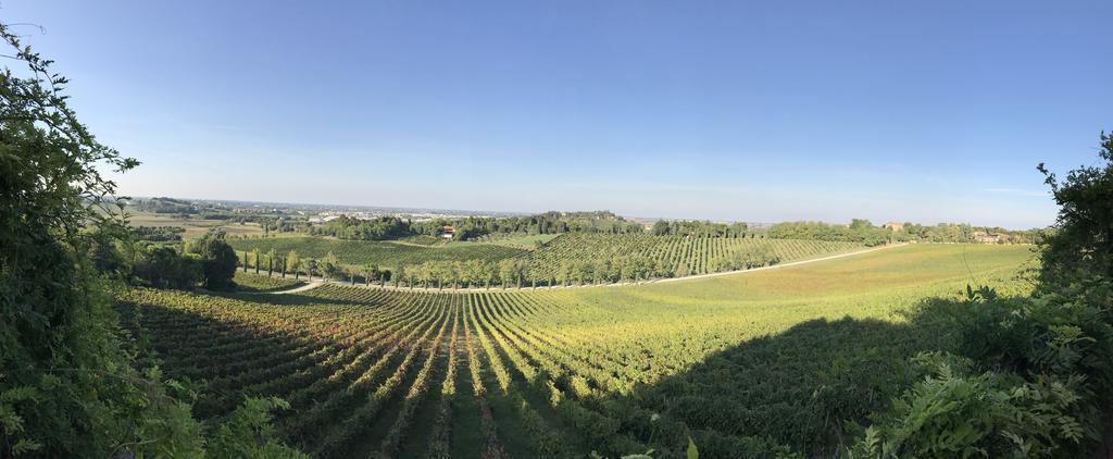 Fattoria Paradiso Bertinoro Exterior foto